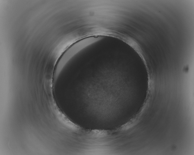 X0000111800954200908131433