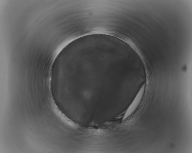 X0000111800955200908131433