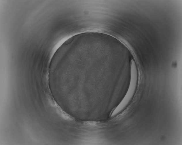 X0000111800956200908131433