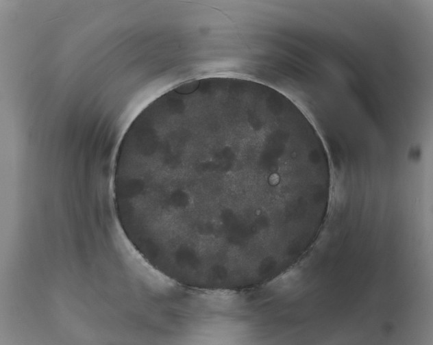 X0000111800957200908131433