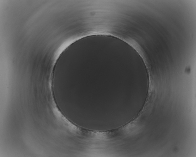 X0000111800958200908131433