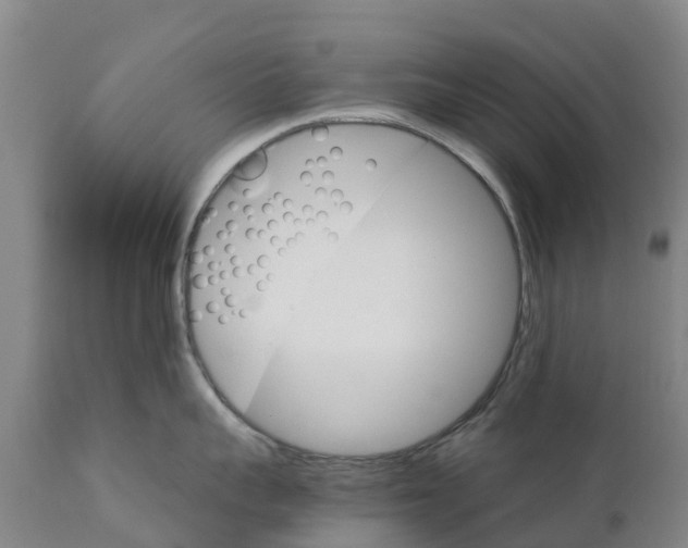 X0000111800959200908131433