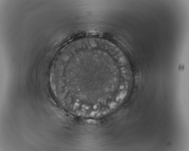 X0000111800961200908131432