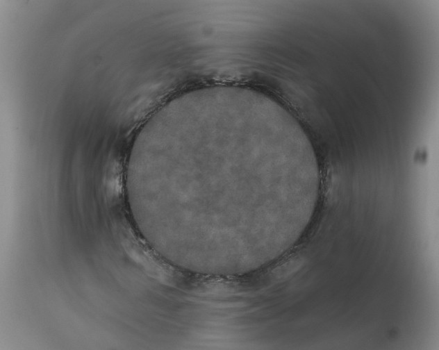 X0000111800962200908131432