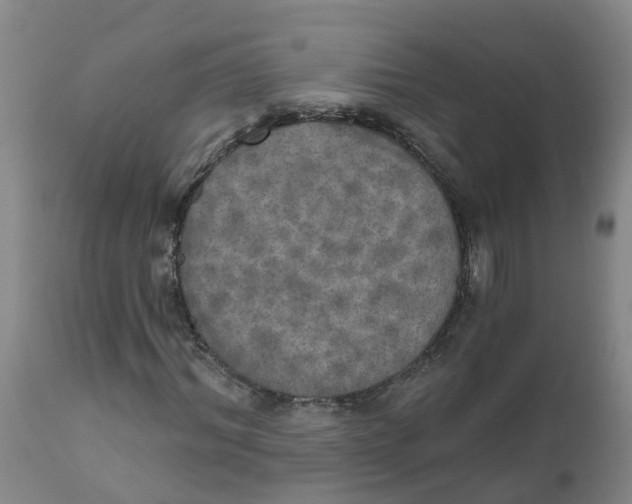 X0000111800964200908131432