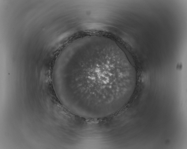X0000111800965200908131432