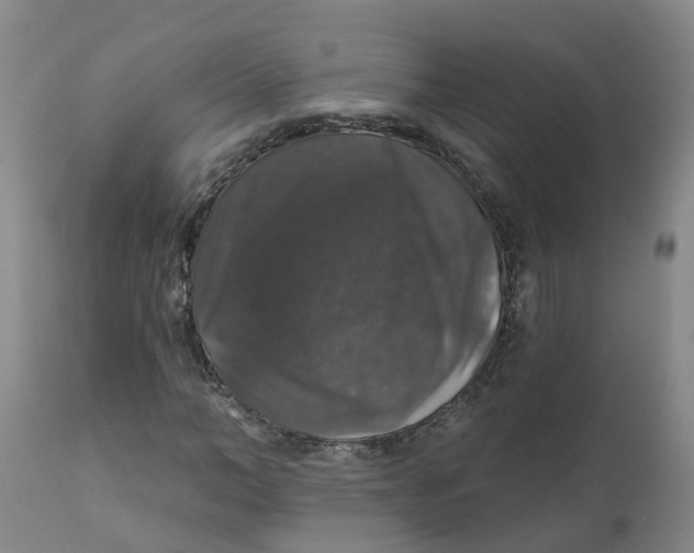 X0000111800966200908131432