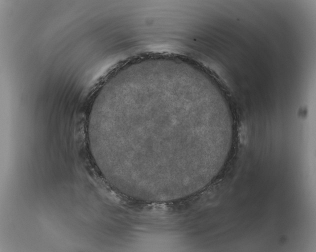X0000111800968200908131432