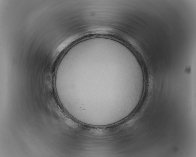 X0000111800970200908131432