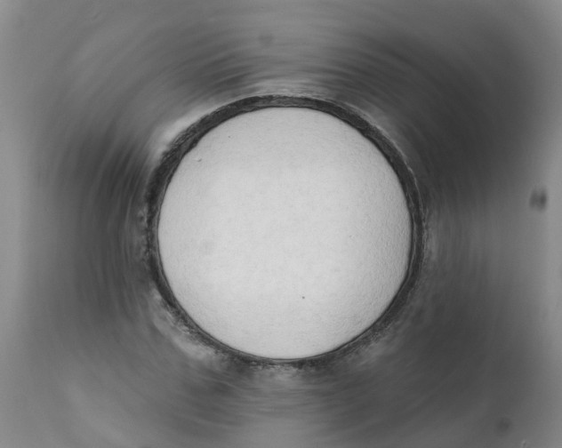 X0000111800971200908131432
