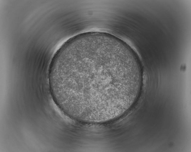X0000111800972200908131432