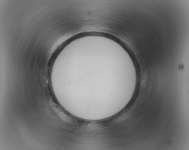 X0000111800974200908131432