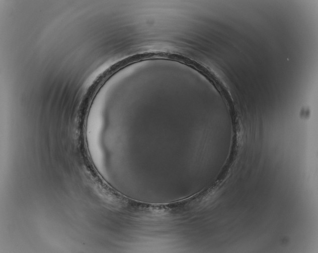X0000111800975200908131432