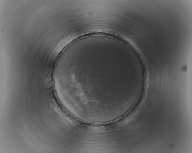 X0000111800977200908131432