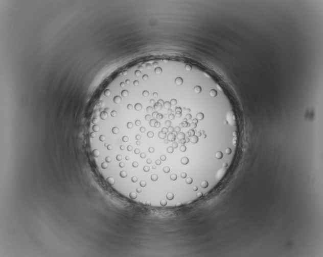 X0000111800978200908131432