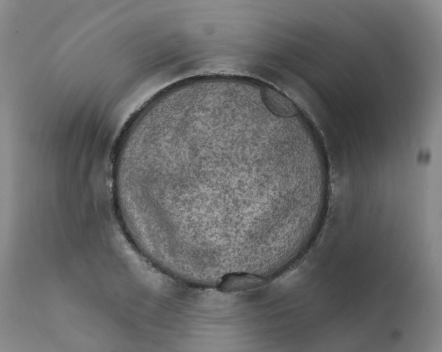 X0000111800981200908131432