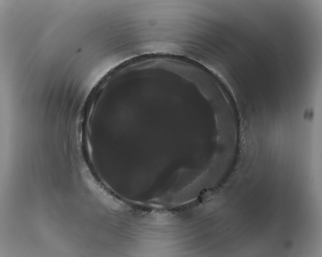X0000111800983200908131432