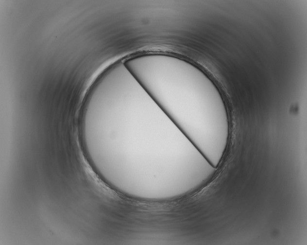 X0000111800984200908131432