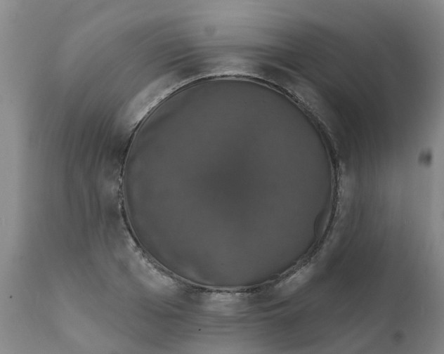 X0000111800985200908131432