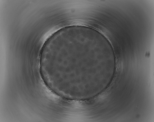 X0000111800987200908131432