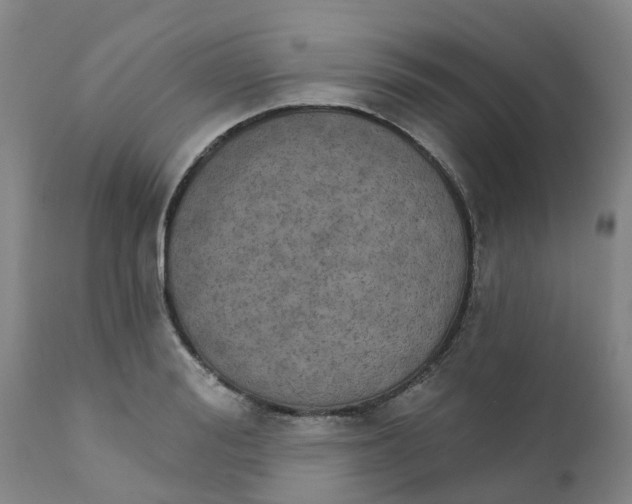 X0000111800988200908131432