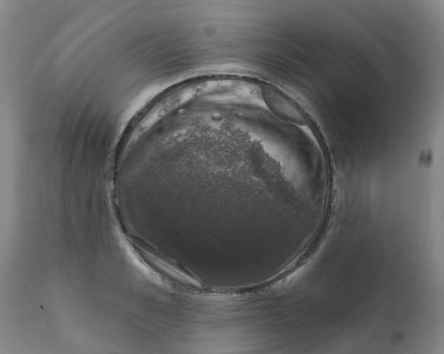 X0000111800989200908131432