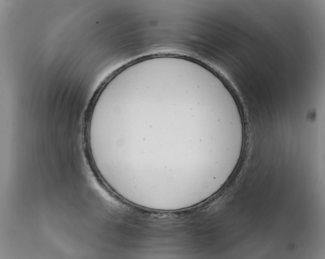 X0000111800991200908131432
