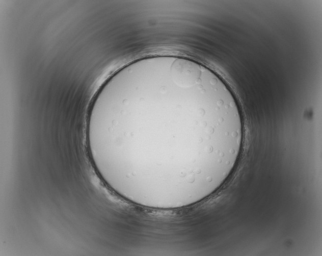 X0000111800994200908131432