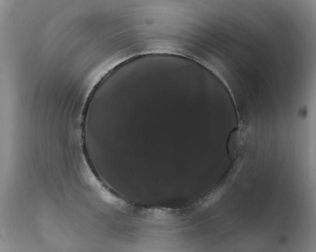 X0000111800995200908131432