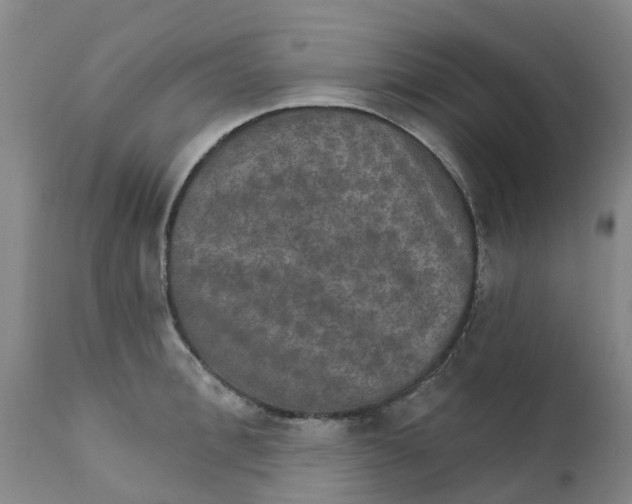X0000111800996200908131432