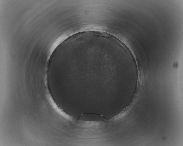 X0000111800997200908131432