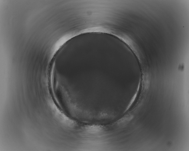 X0000111800998200908131432
