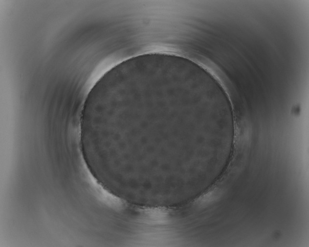 X0000111800999200908131432
