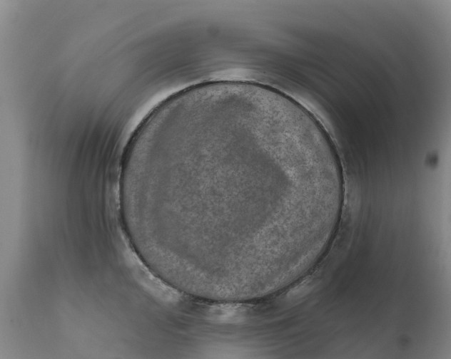 X0000111801000200908131432