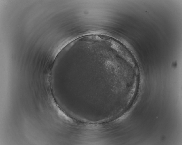X0000111801001200908131432