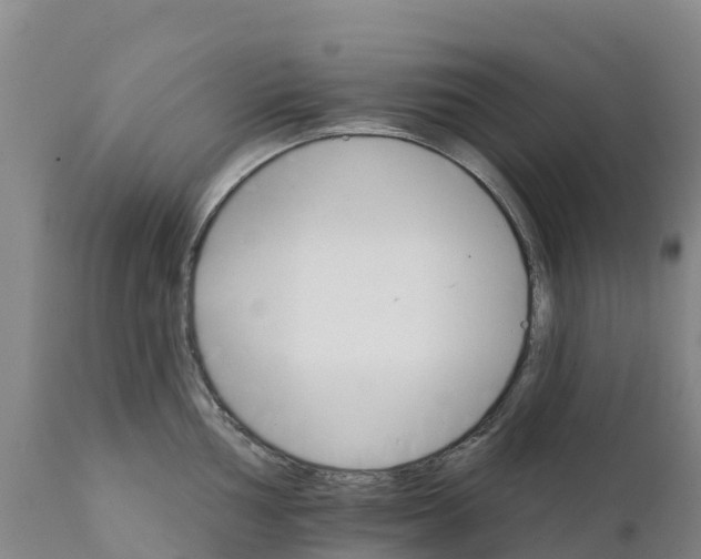 X0000111801002200908131432