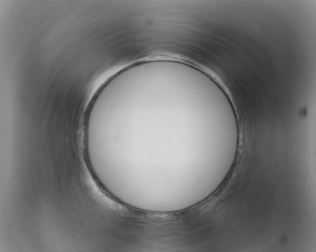 X0000111801003200908131432