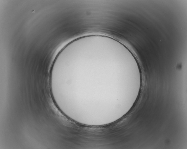 X0000111801004200908131432