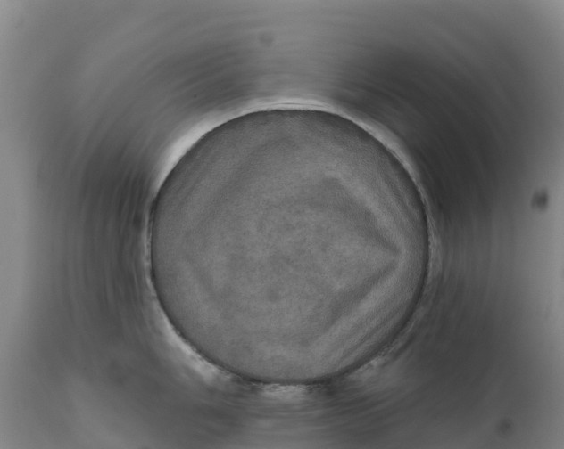 X0000111801006200908131432
