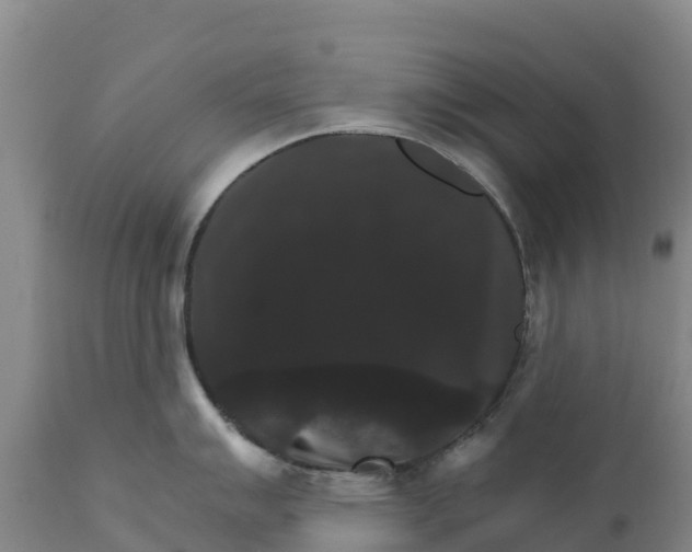 X0000111801007200908131431