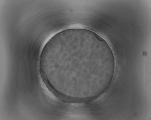 X0000111801008200908131431