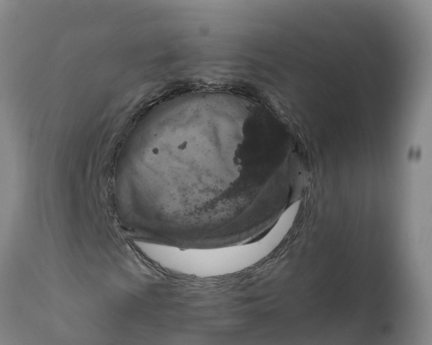 X0000111801009200908131431