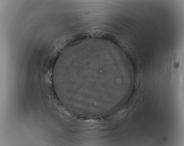X0000111801010200908131431