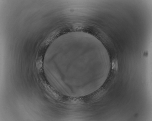 X0000111801011200908131431