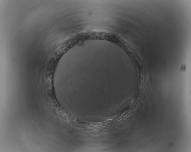 X0000111801013200908131431