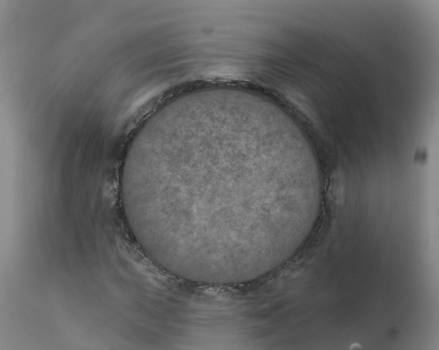 X0000111801015200908131431