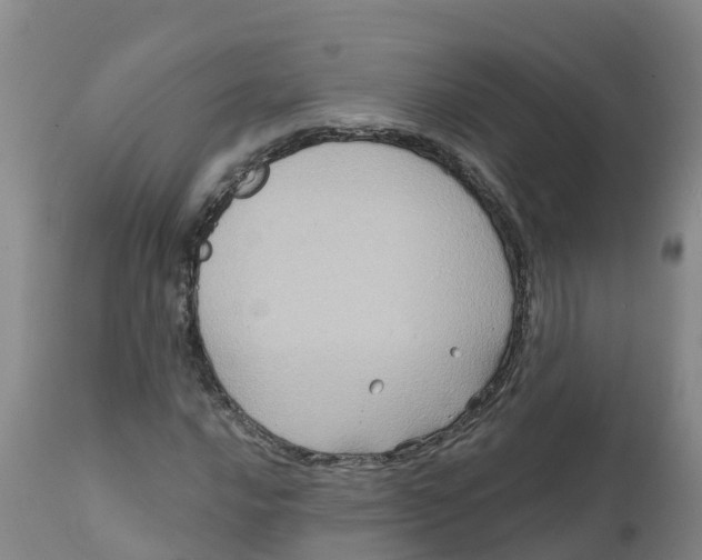 X0000111801016200908131431