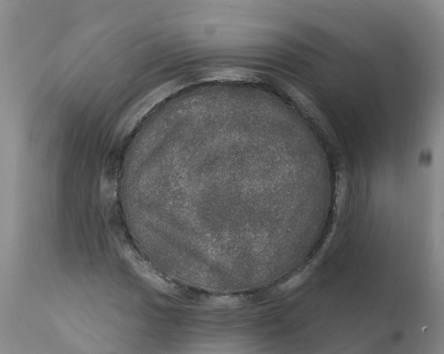 X0000111801017200908131431