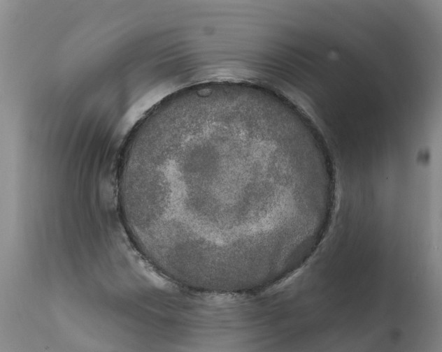 X0000111801018200908131431
