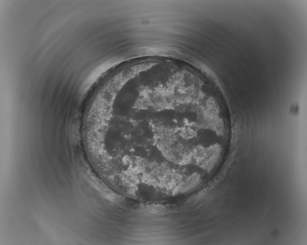 X0000111801019200908131431